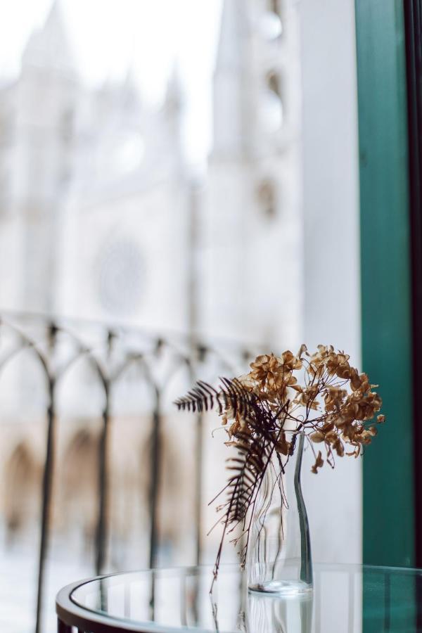 Albany Ancha Ξενοδοχείο León Εξωτερικό φωτογραφία Dried flowers